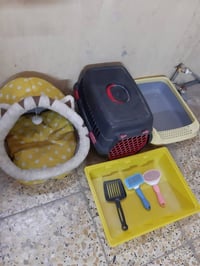 اغراض قطط • نظيفات • شارع حيفا