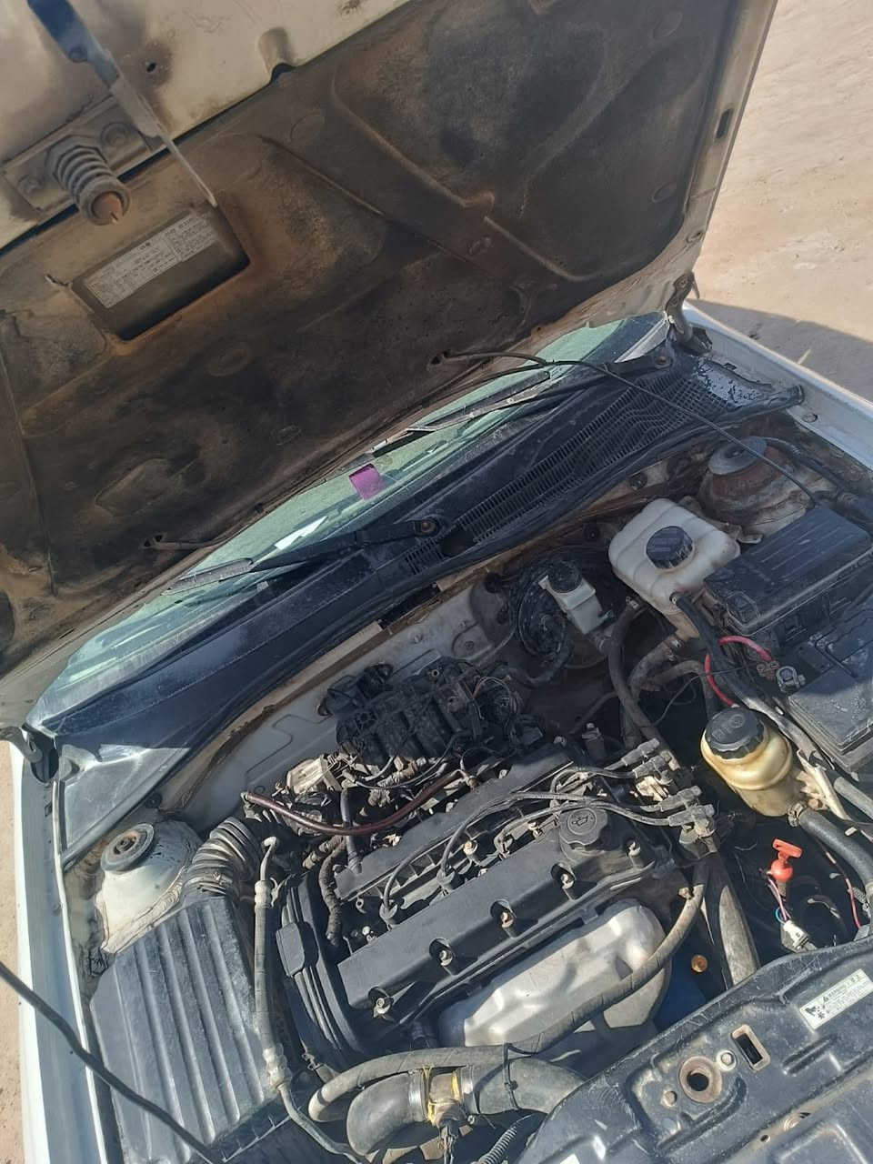 سلام عليكم للبيع وبترا مديل 11 سياره منتجيه.. سياره حلوه وجاهزه    حداده حلوه رقم دولي بسمي مراوس حسب لقناعه سعر 45.مكاني بصره قضاء المدينه.........***********
