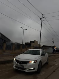 امبالا • ٢٠١٥ • ديالى