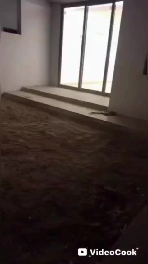 مشتل بغداد
النباتات والزهور وتصميم الحدايق
وكافه الديكورات والمبيدات  والاسمدة باالادارة رافد *********** واتساب
