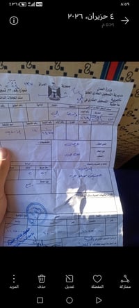 عل ديله • ٢٥٠م • قطعة