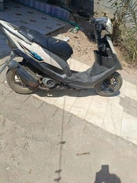 ماكس عدلة • شغل مضبوط • نهضة حلوة