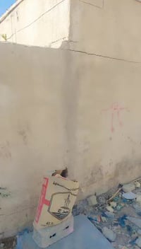 بيت ١٠٠م • حي طارق ١١٠ • شارع السدة