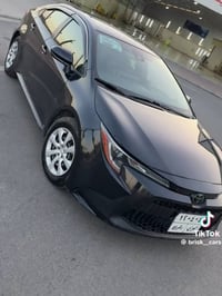 بدون صبغ • كلين • الموصل
