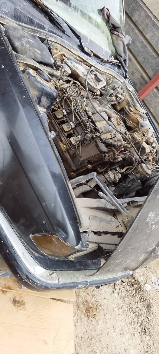 صوت بجم عريض سيتم تفصيخهة ***********
