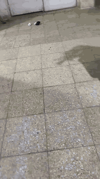 دراجه ماكس مضلع شغاله اخت الجديده ام بي اثري منه وبيه شغال بصمه سويج ن...