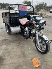 ستوتة ٢٠٢٣ • دخولية ٢٠٢٤ • بابل الحصوة