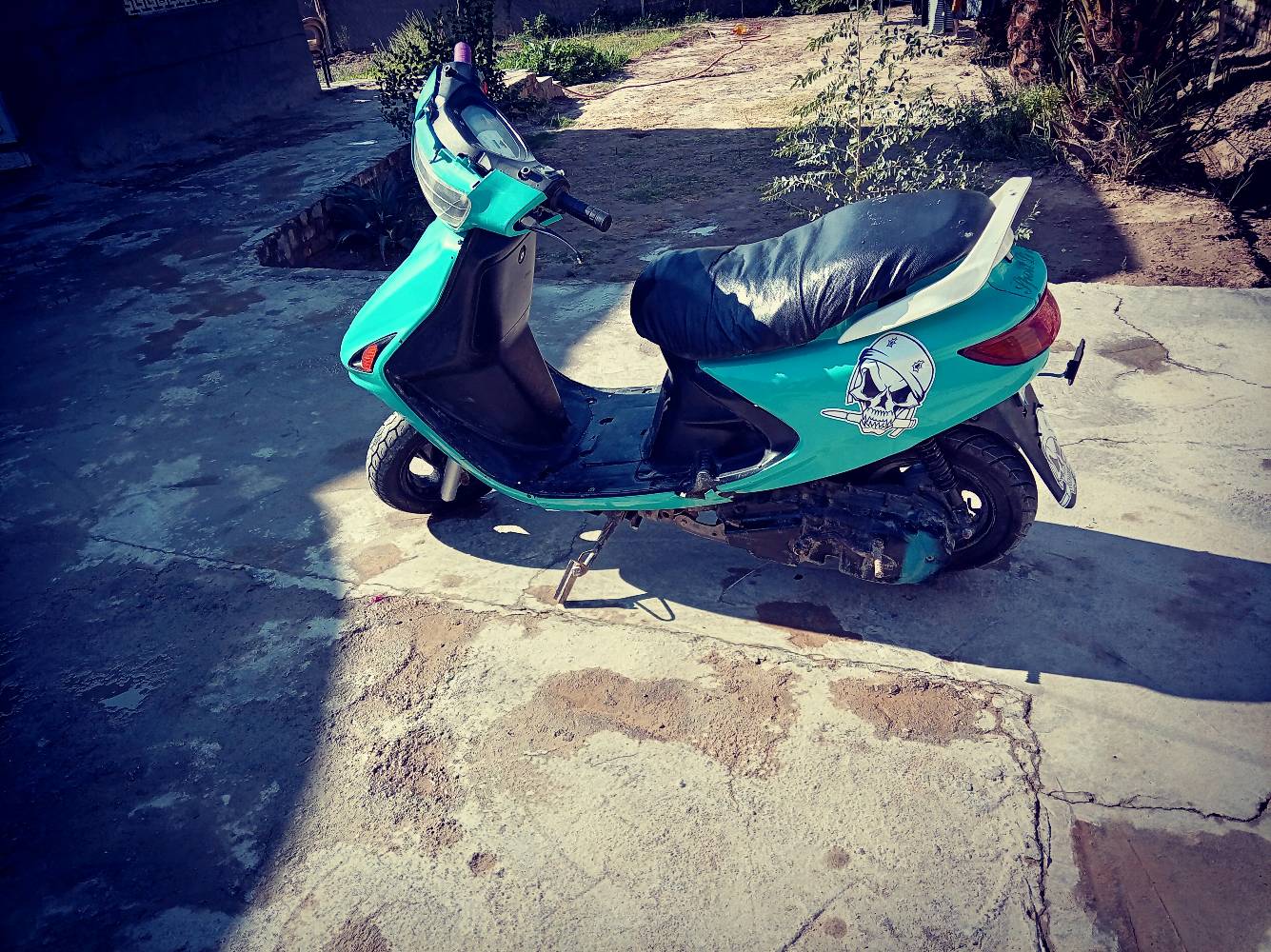 بابل
الدرجه فراشة

