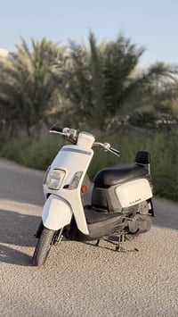 بوليس • مزود • كفالة