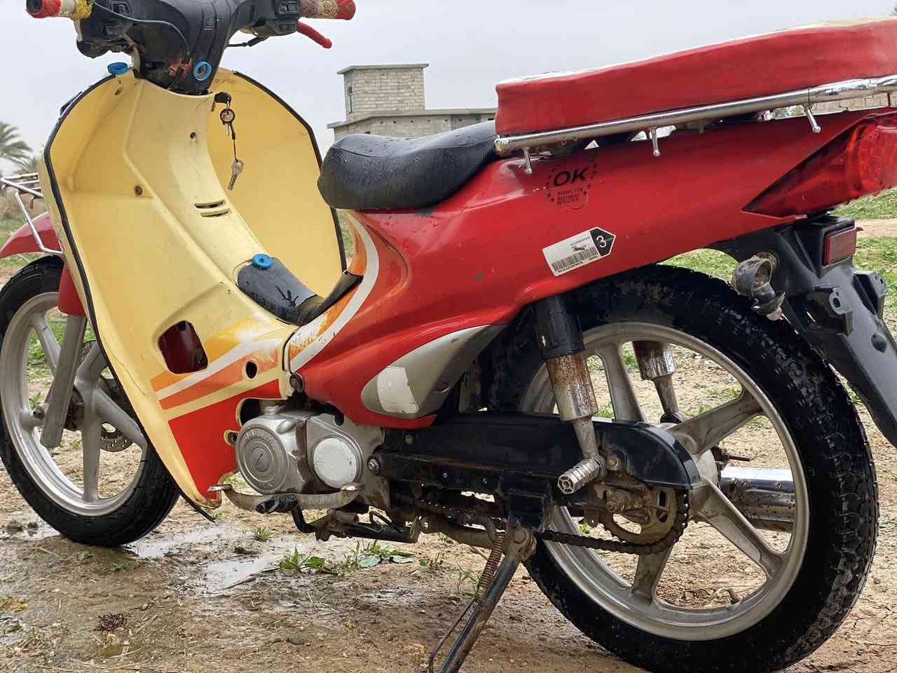 سلام عليكم
سرفيز للبيع موديل حديث  بصمه مكفول
كامل مابيه نقص برقي فقط الاشارة يمين ويسار حتى لا اختلف ويا الشراي شرط كله كوري
السعر 650 وبيه مجال  للستفسار اتصل وتدلل
*********** مكان متواجد بلد والدجيل ويثرب .
