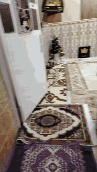 الدوانم شارع البو دراج • ٥٥م • سند ٢٥