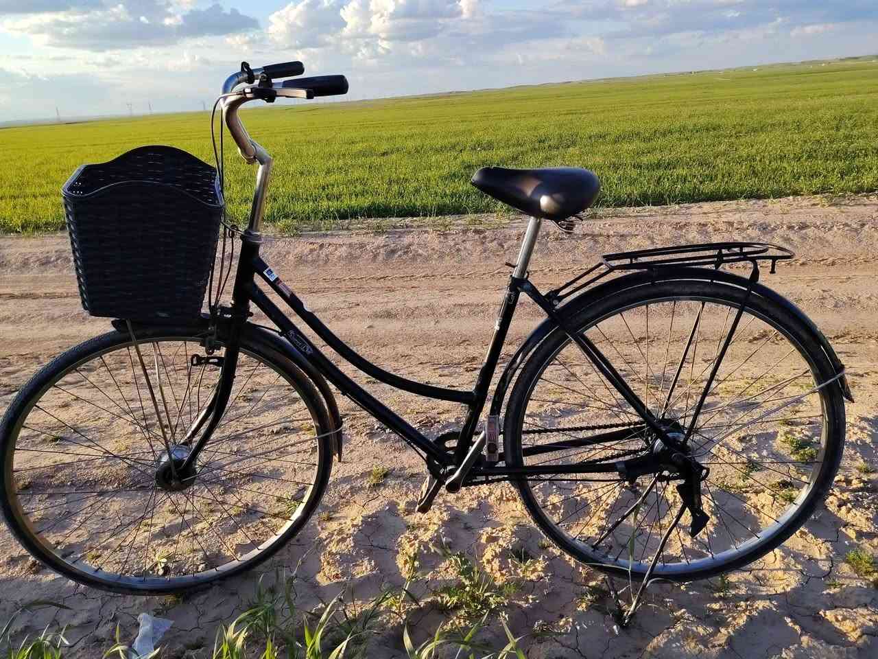 السلام عليكم باسكل حجم 27 للبيع السعر 65 بي مجال المكان قريه العدله ***********
