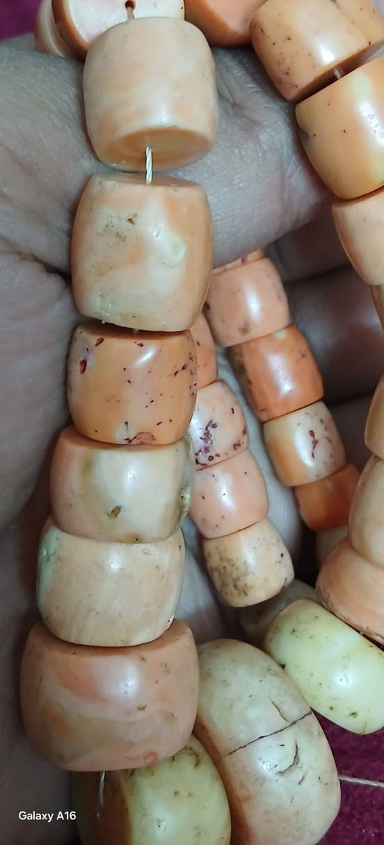 طوق مرجان اصلي وزن ١٦١ اغرام 
للتواصل ٠٧٨٨٤٢٢٠٢٧


**إذا كنت صاحب هذا الإعلان وتريد حذفه لأي سبب، رجاءا أرسل رسالة إلى الدعم الفني**