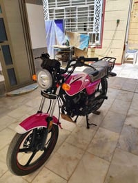 فحل • ٢٠٢٥ • تمشي ١٣٠