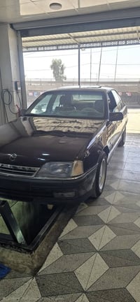 كشنات جلد • لوحات انكليزي • ١٩٩١