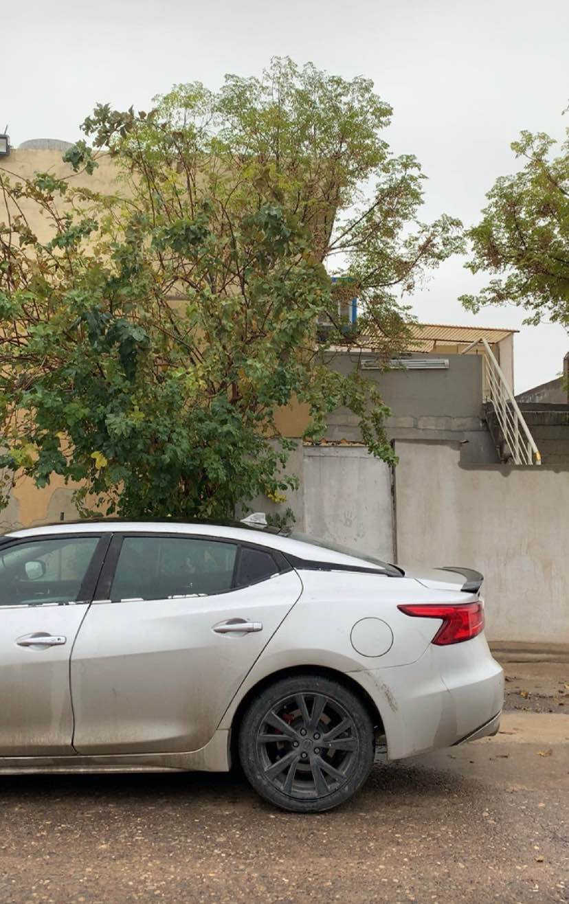 ماکزیما مودیل ٢٠١٧ فول موسافات بەس سلایت نیە دەبل گیر و کوشین هیتەر و سوکان فولیوم و تحدید سورعە و تراکشن و شاشە گەورە و کامیرا و ABS و تراکشن  و کوشین جلد و کارەبا و شغال سیارەکە سبوغ عامە وەرگەرایە  بەس ناوکردن و غرامە بەشەرت گێر و مکینە و کارەبایات بەشەرت باقی سیارەکە سبوغ عامە لەهیچ  مەپرسە رەقەم و سەنەوی و هەزەی نوێیە   چرکەی تیدا نیە نرخی ٨٨ وەرەقە و مجالیکی کەم شوین هەولێر *********** أربيل, العراق
