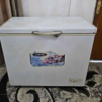 مجمدة • ١٤قدم • نظيفة