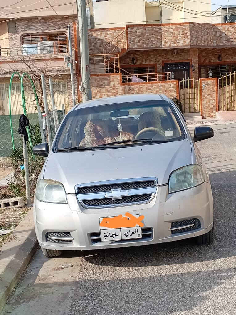 *********** السليمانية, العراق
