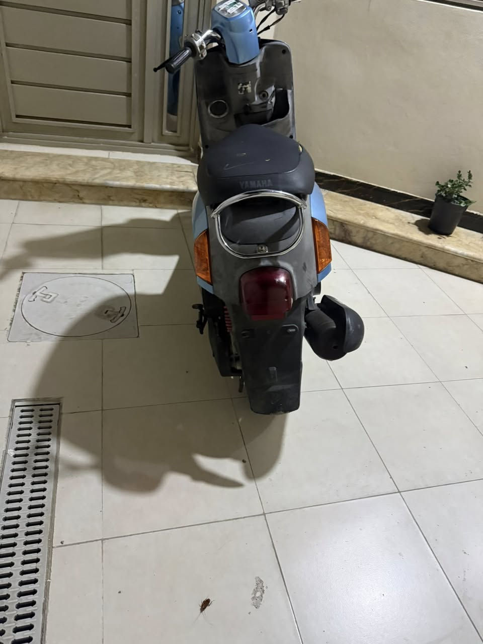 السلام عليكم شباب دراجه ماكس بوليسي دراجه جديده كلش كلش منزله بيدي وماطلع بيه هواي خاله بلبيت بلاديه برغي مالعوب بيه منزله بيدي من الربه مكاني كوفه نجف  ***********
