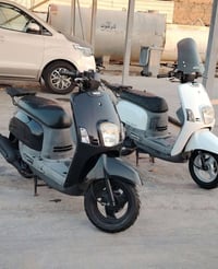 ماكس بوليس • نوزل • كفاله عامه