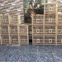 اقفاص بلابل • صغار ٤٧×٣٤×٥٠ • كبار ٥٧×٣٤×٥٠