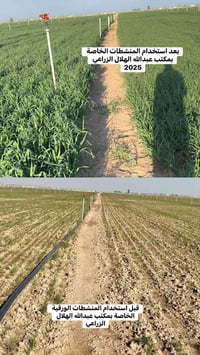 أسمدة ورقية • مبيدات وردة بيضاء • كركوك الحويجة