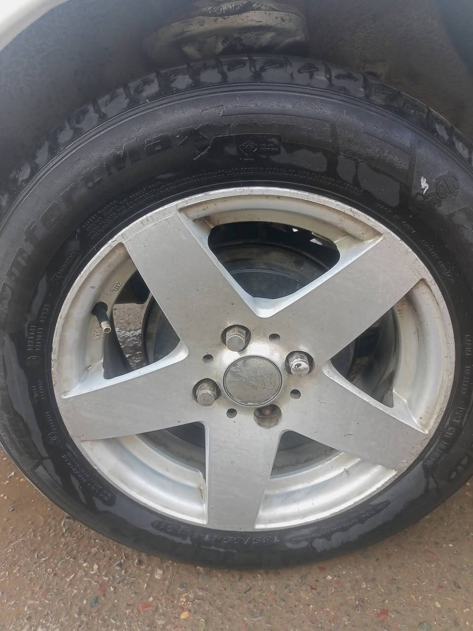 معارض ويا اويالاه سي كي شعندك نزل 

واتساب ***********
