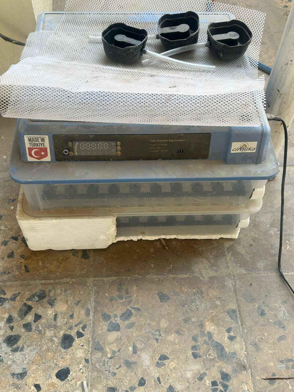 السلام عليكم
فقاسة بيض جيمونة تركية اصلية شرط
مستخدمة شي قليل بعدها بنايلونها جديدة لوك
تاخذ 120 بيضة
مكاني تكريت
***********
