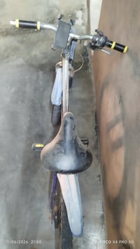 بويسكل • مقاس ٢٤ • بي مجال