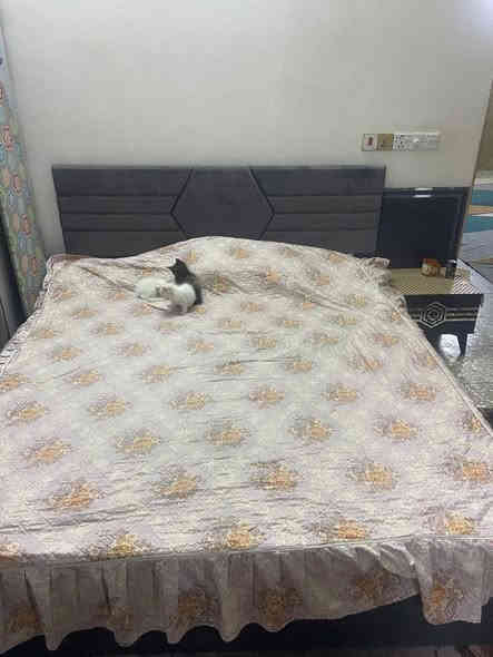 سلام عليكم غرفة تركي مستخدمة صالهة شهرين ممتواجد ع فيس
***********
