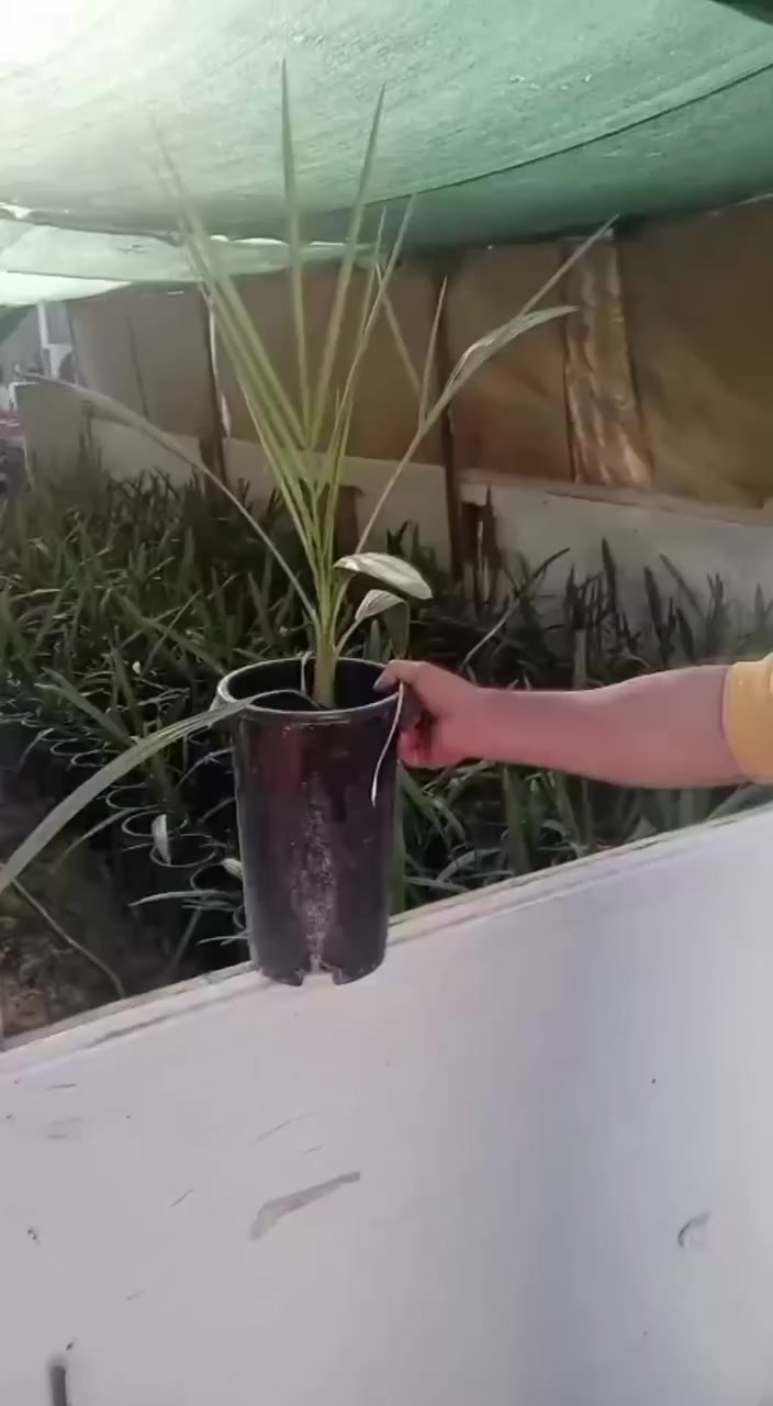 للاتصال***********
