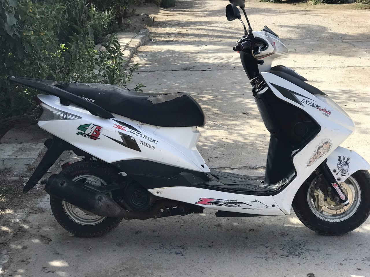 السلام عليكم درجه ماكس ثعلب كامله ***********
