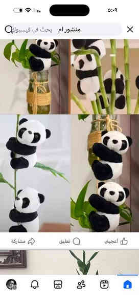 🪴يتوفر لدينا جميع اكسسوارات نباتات وسنادين بلاستك نوعيه ممتازه 🦊🪴 🐼
🚕توصيل كل محافظات العراق 🚕 
🪴الزرع لعرض فقط 🪴 
يتوفر جمله ومفرد 🐼 🦊 
حجز على خاص ☎️
📞***********📞

🐼تتوفر لدينا جميع اكسسوارات نباتات 🐼
🪴و سنادين مختلف الأشكال والأحجام والألوان 🕊️🐝🐞🐦🕊️🦋🐦🐞🌿🍄🕊️🐞🦋🐦🍄🌿
متوفر دعسوقات 🐞 🐞🐞🐞
ونحلات لاصقه 🐝🐝🐝🐝🐝
وفراشات 🦋🦋🦋🦋🦋🦋
فطر زينه 🍄🍄🍄🍄🪴💕
1-🐼باندا او سنجاب  🐼 
 2- فطر جيس الف🍄
3-🐞دعسوقه صغير حمراء ٤٠ قطعه با الف🐞
4-🐞وسط ٢٠ وسط جيس الف 🐞
5-🐞دعسوقة خشن ١٠ قطع با الف 🐞
6-🐞دعسوقة ملون ١٠ قطع الف🐞
7-👍كف ١٠ قطع الف 👍
8-🐦عصفور ٥٠٠ القطعه 🐦
9-🪴غصن مترين رفيع  الواحد الف 🪴
10-🎊نشر ضوئيه مترين الف 🎉🎊
11-🌹🐝نحله صفراء ٤٠ قطعه با الف🌹🐝
12-🌹🍄نحله وسط ١٥ قطع الف🐝🐝
13-🌹🦋🦋🌹فراشه عاديه لصق وجهين و مغناطيس ١٠ قطع با الف🦋
14-❤️جيس ١٠ قطع  ماسك لبلاب كف 
١٠ قطع الف👍
15-🍄١٠ قطع فطر اكبر شويه الف 🍄
16-🕊️حمام وسط الف🕊️
17-🕊️حمام كبير الفين 🐝🕊️
18-🪴ماسك لبلاب الف 🌿
🦋
19- فراشات سيم صغيره  ٤ سم 4 با الف🦋
🦋٧ سم ٣ با الف🦋
🦋٨ سم و ٩ سم  ٢ با الف🦋
20-فطر ملون صغير 10 با الف🍄
21-دعسوقة ام عوده ملون جيس 10 قطع الف
22-فطر احمر كبير او صغير جيس الف🍄
23-فطر ملون  صغير او كبير جيس الف 🍄
🪴الزرع لعرض فقط🪴 
#توصيل كل #محافظات_العراق
#بغداد #ناصريه #نباتات #ديوانيه #زرعاتي #سنادين_ورد #ديكورات #نباتات_منزلية_داخلية #نواعم #بابل #البصره #ديالي #واسط #المثني #ديكورات_خشب
#سناد #سناد_زرع #نباتاتي
