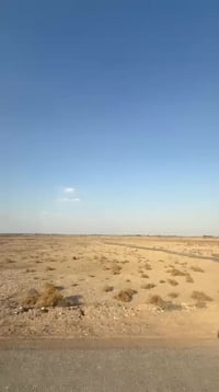 طابو زراعي • ٥٠ دونم • الدغاره