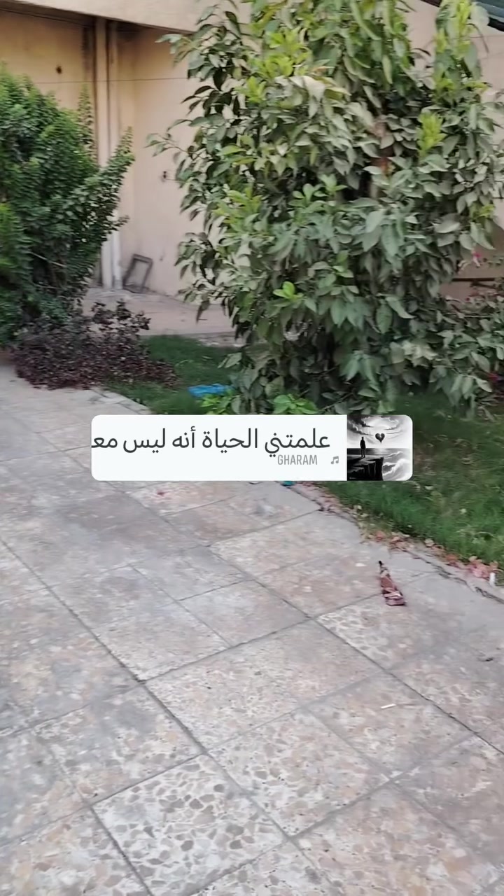 السلام عليكم
دار 160م طابق ارضي للأيجار
كراج
حديقه
صاله
مطبخ
حولي
غرف نوم 2
حمام
ترك
السعر 650الف اجاره
غزاليه شارع المشجر مربع أسواق تازة
للإستفسار *********** *********** مكتب الطائي غزاليه شارع المشجر
