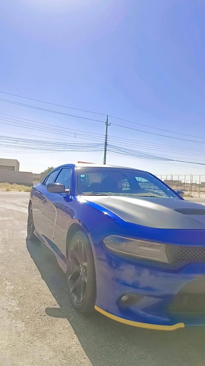 💵الـــــســعـــــر 250$ورقه وبيه مجال
🛞نــوع الــمـركـبة:- دوج جارجر  GT
🪙الـــــمــوديــــل:-2021
⚙️حــجـم الـمـحرك:-3.600 
🧭الــــعـــــــــداد:72 الف كيلو 
💌الـــــــوحـــــــة:-بغداد رقم انكليزي تحويل مباشر
💥الايــــربــاك:طاك

الضرر:- دعاميه اماميه وبنيد 

          💎💎الـــــــمــــواصــــفــــات💎💎

♦️شاشة كبيرة 
♦️فتحة سقف
♦️كامرة خلفية
♦️بصمة تشغيل 
♦️بصمة أبواب
♦️تشغيل عن بعد
♦️تحكم أستيرن
♦️لد نهاري 
♦️كشن الأمامي كهربائي
♦️ تدفئة كشنات 
♦️رادرات جوانب
♦️رادار خلفي للتوقف الذاتي
♦️ويل كب 
♦️كشنات حضن 
♦️تدفئه كشنات
♦️لايت زنون
***********
