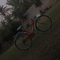 ٢٠١٩ • اصلي • ماكو صبغ