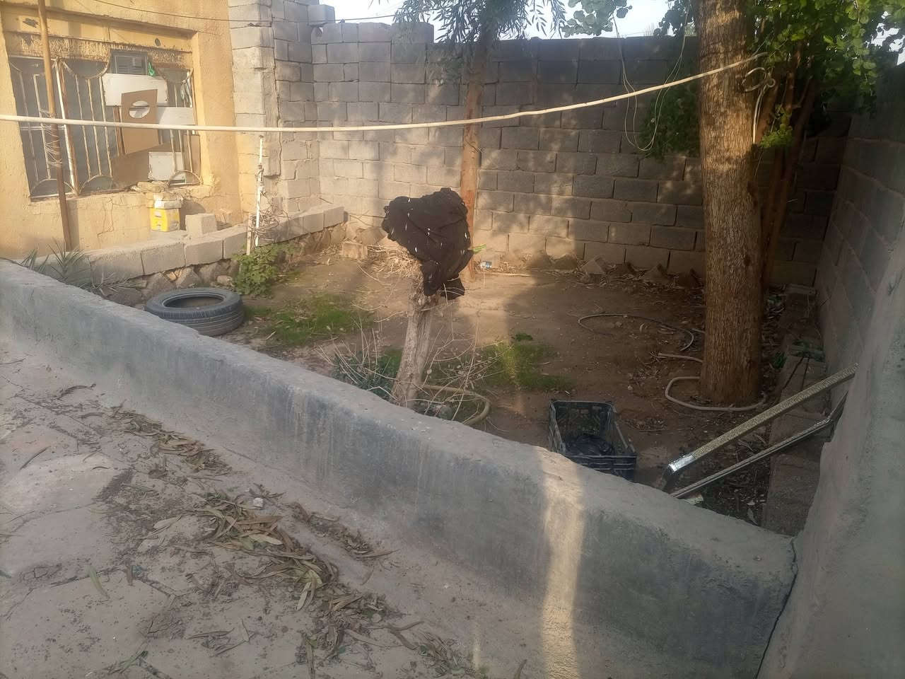 دار للبيع  في شارع النفط قرب اسواق الصدرين مساحه 260 متر
اثنين غرف 
مطبخ 
هول 
استقبال 
حديقه 
صحيات خارجيه 

الاستفسار الاتصال على الرقم 
***********
