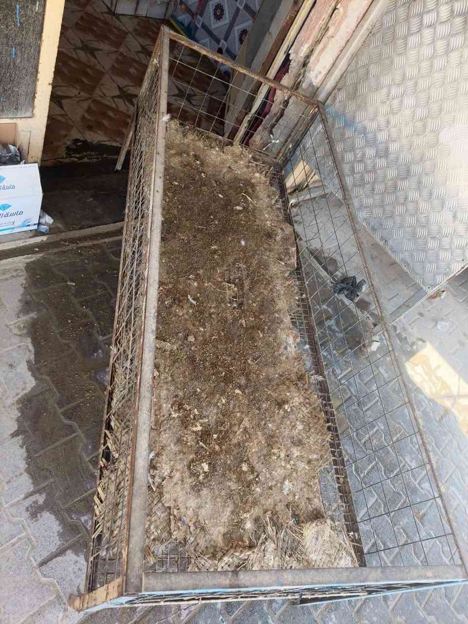 غراض محل دجاج البيع


**إذا كنت صاحب هذا الإعلان وتريد حذفه لأي سبب، رجاءا أرسل رسالة إلى الدعم الفني**