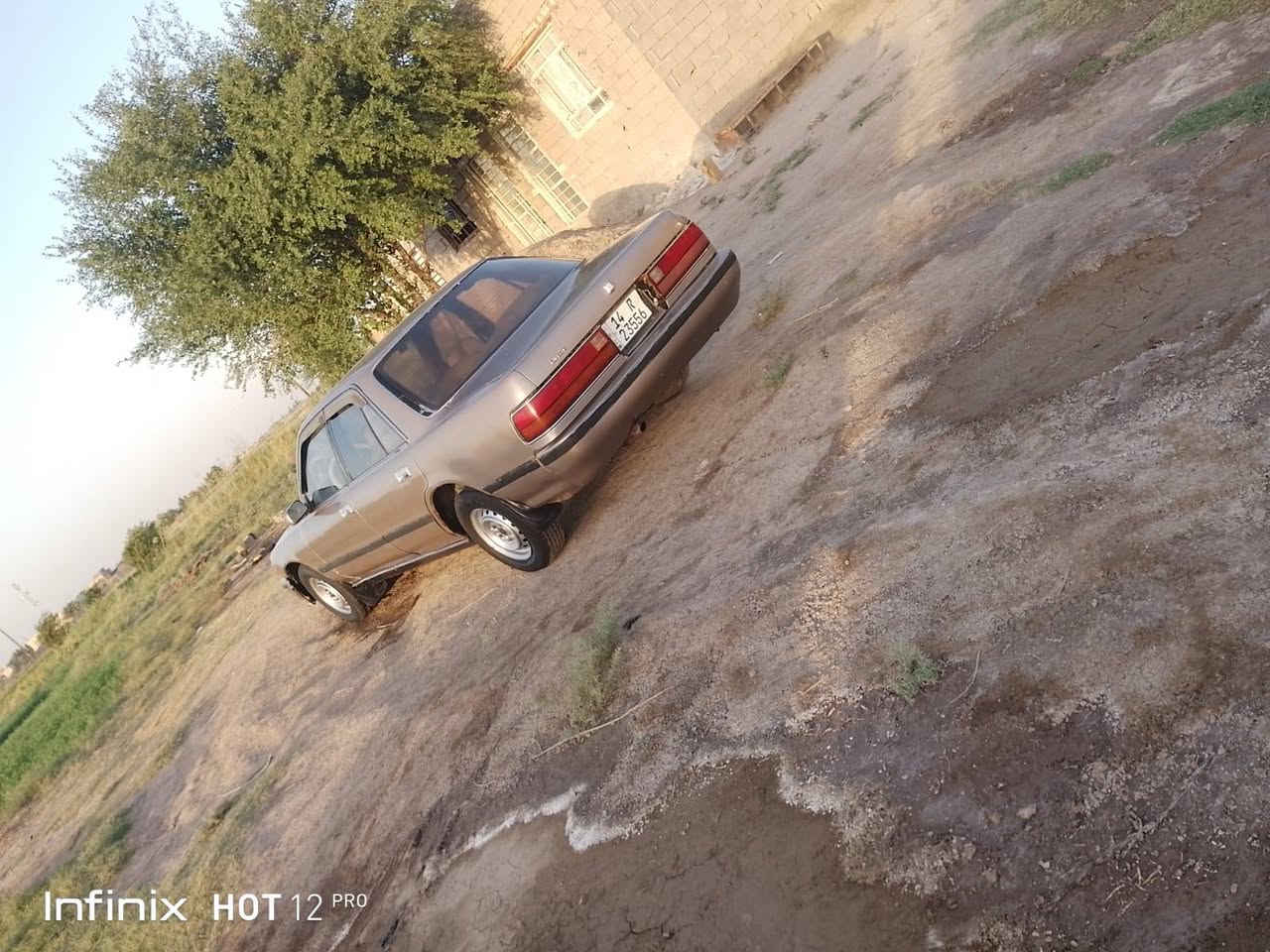 مارك كربلائي ٩٢ مكفوله كص ونغل وكلبه رقم بصره سنويه لل٣٠ بسمنه مكينه وانجي بيها بدايه وكير يااخر ب٣٨ بيها مجال ***********
