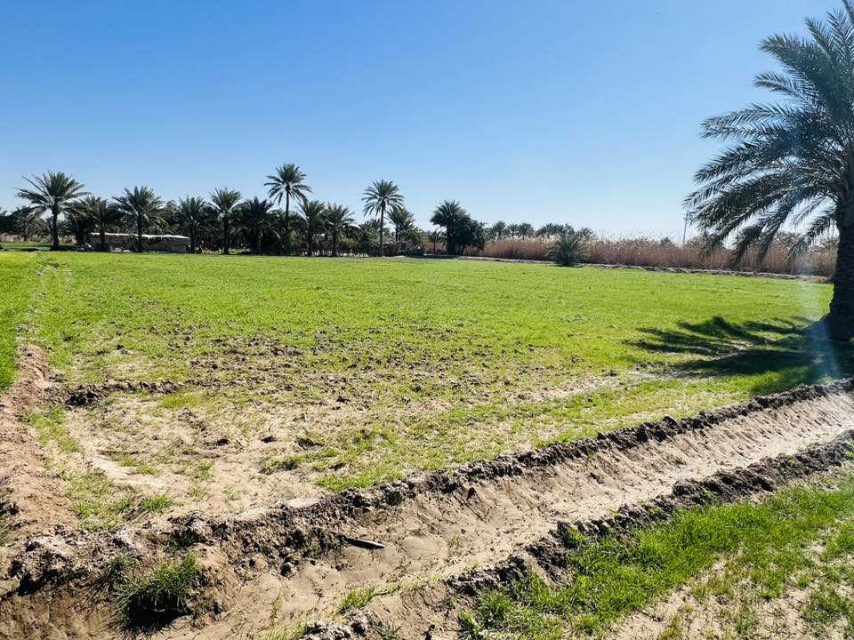 للبيع……

ارض زراعيه مساحتها (دونم واحد) ماء وكهرباء وشارع محاذي الها من جهتين  تبعد عن الشارع العام. ٢٠٠٠متر نص تبليط ونص ترابي  موقعها فرع عبيد السلطان   السعر 65 قابله للتفاوض للاستفسار اكثر الاتصال على الرقم ‭٠٧٧٨ ٠٦٣ ٢٥٨٣‬

سلوان الدليمي
