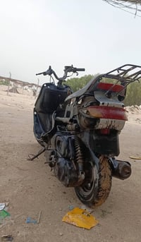 فراشه فحل • مامفتوح • تعبانات