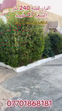 كركوك بنجا علي • بيت للبيع • 240م