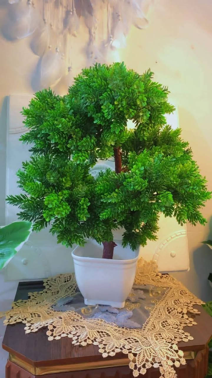 نباتات صناعيه /متدلي/متسلق/ورود/فازات
اسعار جمله تصفيه
توصيل داخل بسمايه الف


**إذا كنت صاحب هذا الإعلان وتريد حذفه لأي سبب، رجاءا أرسل رسالة إلى الدعم الفني**