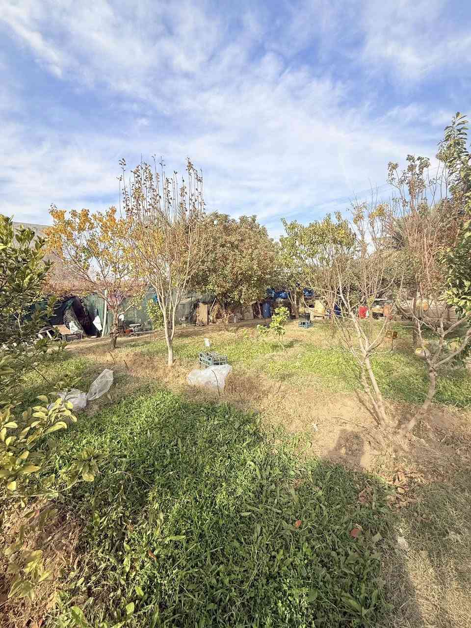 🟠 ارض سكنيه للبيع🟠  

📍موقع العقار : الرمادي _ زنكورة المفرق

🟠 موقع مميز 

🟠ارض كلش قريبه من المفرق ولاسواق ومدارس 

🟠الارض وجه على شارع 8 متر تبليط

🟠 المساحة (240 متر )

🟠الوجه (12 متر ) والنزال (20 متر)

🟠الارض مسيجه بالكامل ومزروعة كافه اشجار الفواكه 
 
🟠الارض تصلح للسكن او حديقه 

🟠 تتوفر فيها خدمات ماء وكهرباء وبلديه

🟠 للمعرفة السعر فقط ارسال المعلومات على الواتساب او على الخاص او الاتصال على هواتف المكتب 

🔶 اذا عندك عقار تريد تعرضه للبيع او تريد تشتري عقار🔶
__________________________________
* متابعة الصفحه يصلك كل ما هو جديد *

 ✅للأستفسار الاتصال على الارقام التالية :

📞***********
📞*********** 

🏛️موقع المكتب على الخريطة ⏬️

‏https://maps.app.goo.gl/uaqG7ir7EbX2DQkBA

🏛️موقع المكتب ⏬️⏬️

أو زيارة موقعنا :  الرمادي_ ناحية اليرموك (زنكوره سابقاً)_ المفرق  /مقابل جامع هادي البشير (البمرعي)

#مكتب_عقارات_زنكورة 🕹️
#ناحية_اليرموك_زنكوره_سابقاً 
#عقارات_ناحية_اليرموك
