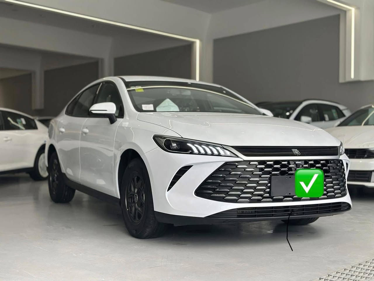 داواکاری MG _ COROLLA_ BYD
مستعمل دەکرین  بەباشترین سعر 

چیت هەیە لە واتس بۆمان بنێرە لێت دەکرین

*********** واتساپ
