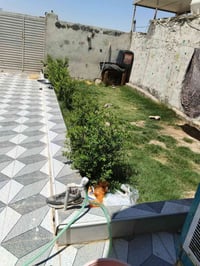 شارع الطهمازيه • ٢٥٠م • نقص تشطيب