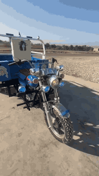 ستوته • موديل17 • أوراق أصولي