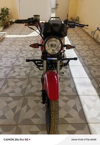 شايننك 2023 • أوراق أصلية • كمرك مدفوع