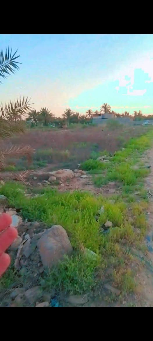 قطعة ارض للبيع
السلام عليكم قطعه ارض مساحه 600 متر  واجه 20 نزال 30 زراعي 135 في منطقه الاصلاح قرب شركه الماي و تبعد عن باب الجزيرة السياحية  10 دقايق   *********** استفسار واتساب
